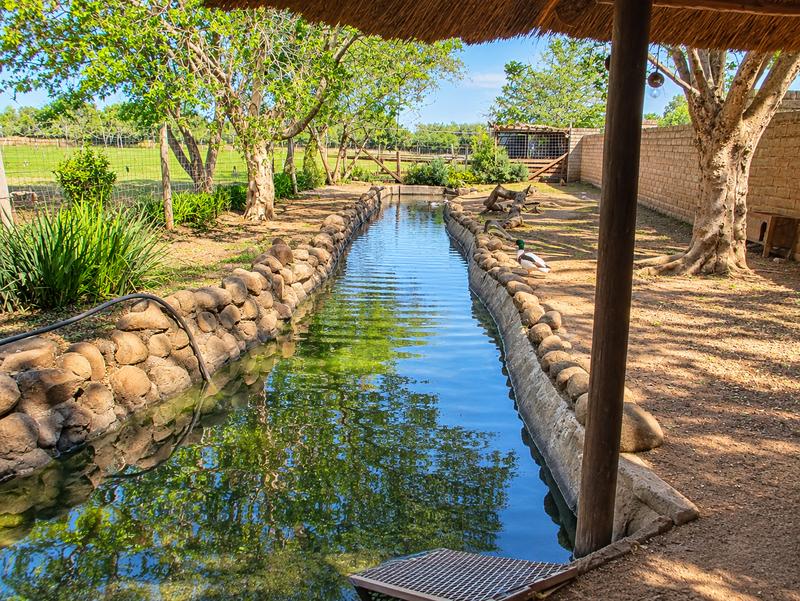 4 Bedroom Property for Sale in Bainsvlei Free State